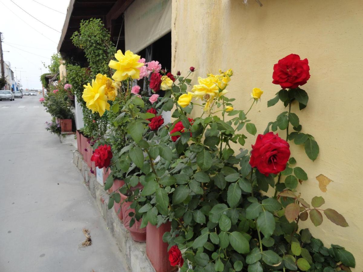 Elia Mare Apartment มัสติคารี ภายนอก รูปภาพ